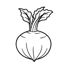 vector illustration of a celeriac
