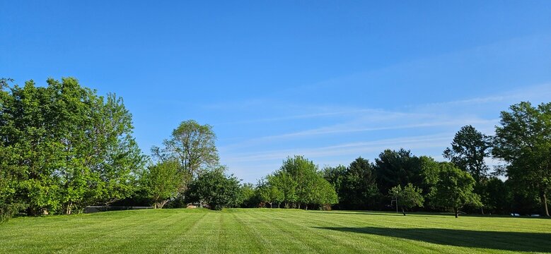 Fototapeta green field and blue sky
