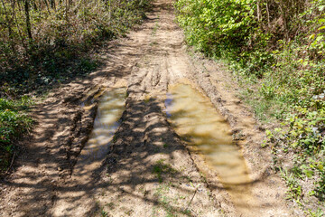 A muddy road with two puddles of water