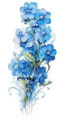 Watercolor painting of a forget-me-not flower in a delicate botanical illustration