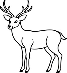 hand drawn deer outline illustration 