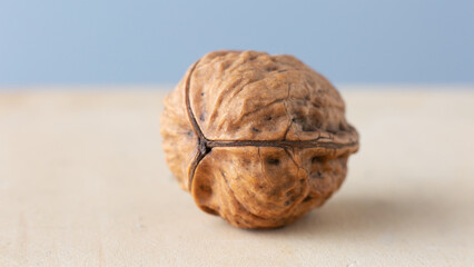 Three-lobed walnut. Lucky charm
Walnut with three shells. The walnut with its particolar shape, tripartite or trilobate, which is a rarity, a bit like the four-leaf  clover, according to some beliefs