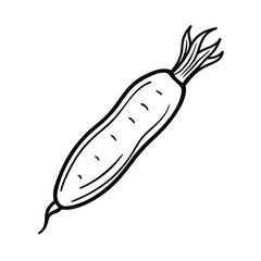 vector illustration of a daikon