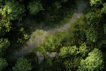 Fototapeta na wymiar Realistic top view battle map of a mountain curve for DnD. Crossroad path with trees, stones, and bushes designed for tabletop RPG adventures.