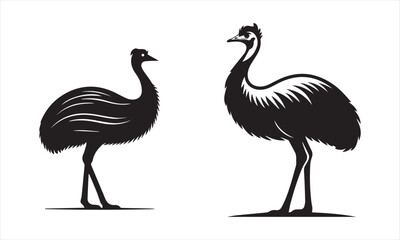 set of Ostrich silhouette vector illustration