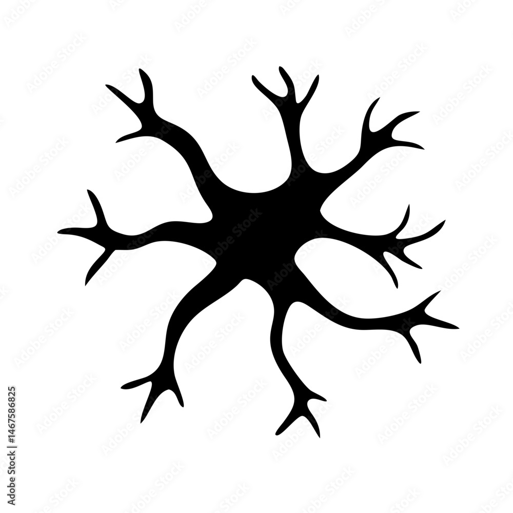 Poster neuron c radial arborization silhouette on transparent background for web and graphic design