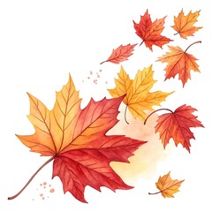 autumn leaves isolated on white