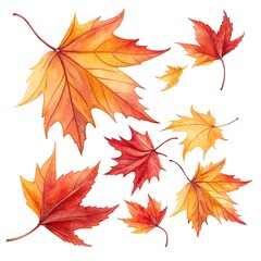 Fototapeta premium Autumn leaves isolated on white
