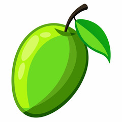 Vector illustration of a green mango