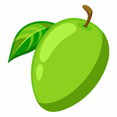 Vector illustration of a green mango