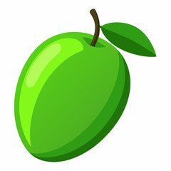 Vector illustration of a green mango