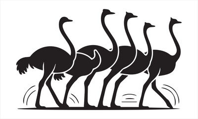 set of Ostrich silhouette vector illustration