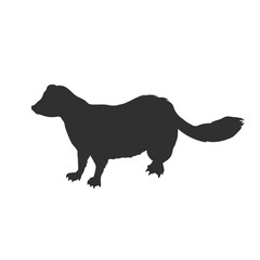 American mink silhouette. Wild otter isolated drawing. Black animal shape. Little beast portrait