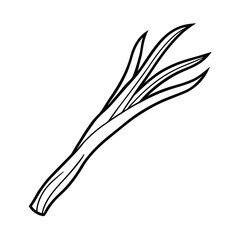 vector illustration of a lemongrass stalk