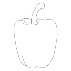 Capsicum line art vector design. Capsicum outline illustration design.