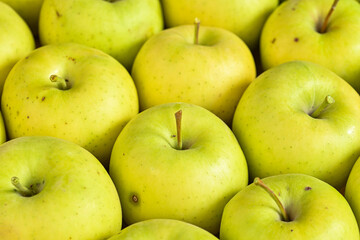 green apples background