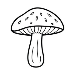 vector illustration of shiitake mushroom