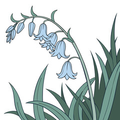 Anemone Floral Vector