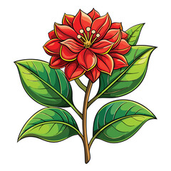 Floral Bloom Drawing