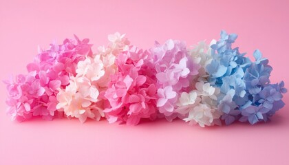 Pastel hydrangeas on pink background