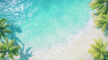 Aerial View of Tropical Beach Turquoise Water Palm Trees Summer Vacation Paradise