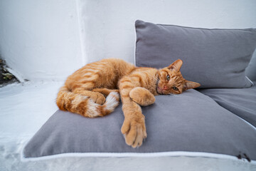 ギリシャのミコノス島の風景