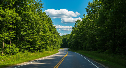 Obraz premium Straight paved road passing through a lush green forest. 