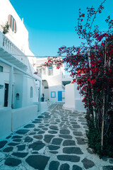 Fototapeta premium ギリシャのミコノス島の風景
