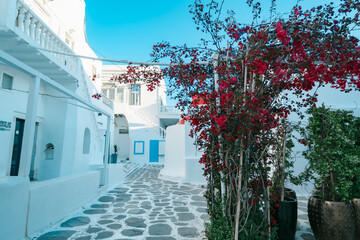 ギリシャのミコノス島の風景