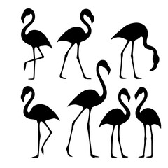 Obraz premium Flamingo Silhouette Vector Set – Elegant Black Tropical Bird Poses on White Background