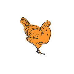 Hand drawn abstract vector graphic illustration collection with cute, stylized domestic animals rooster and hen character.Trendy modern farm design concept.Vector line farm animal symbol. animal icons