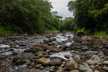 Obraz premium river in the mountains