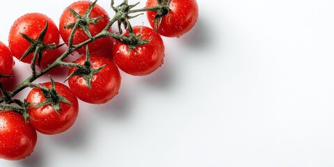Fresh red tomatoes on the vine against a white background with copy space, ideal for food or health concepts.