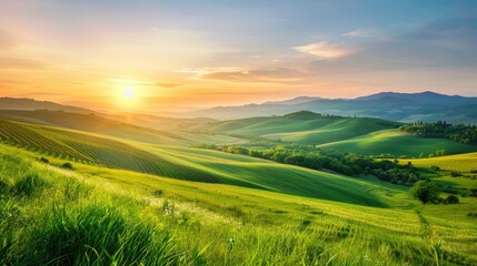 Obraz premium The picture of the green mountain filled with grass field and plant in the bright time of the day with bright light and warm from the sun that has been rising in morning or falling in evening. AIG51.