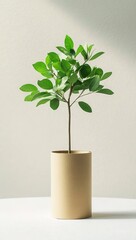 A potted green plant in a beige cylindrical pot against a plain background.