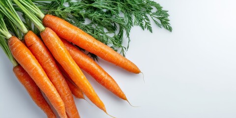 Bunch of fresh carrots with green tops on a white background with space for text, ideal for health and food promotions