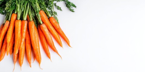 Bunch of fresh carrots with green tops on a white background with space for text, ideal for health and food promotions