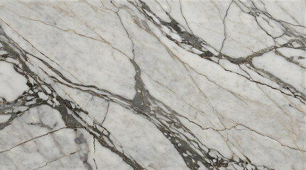 Fototapeta premium Closeup of a white marble slab with intricate grey veining
