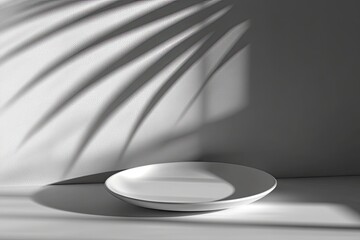Empty white plate on a light gray background. Palm leaf shadows