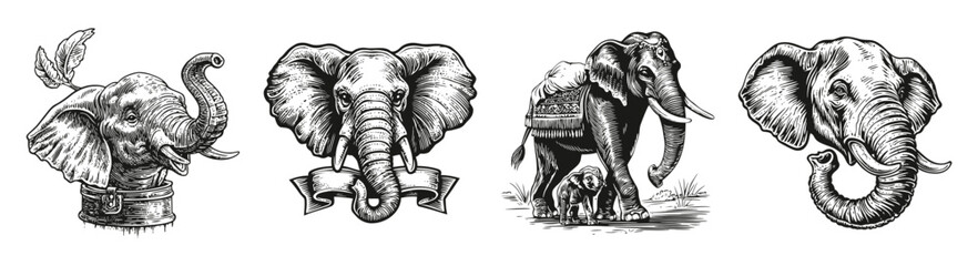 Detailed Vector Illustrations of Elephants for Creative Projects, vector illustration, engraving design, logo design set, black and white line, template design element