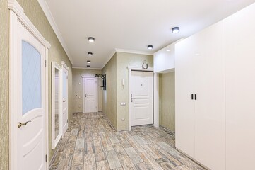 standard room interior apartment. room doors, renovation corridor lobby entrance hall