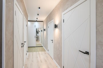 standard room interior apartment. room doors, renovation corridor lobby entrance hall