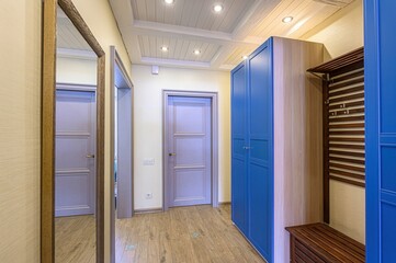standard room interior apartment. room doors, renovation corridor lobby entrance hall