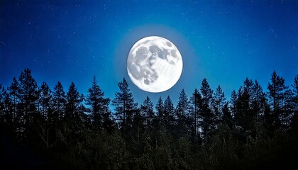 Luna llena sobre un bosque silueteado por la noche