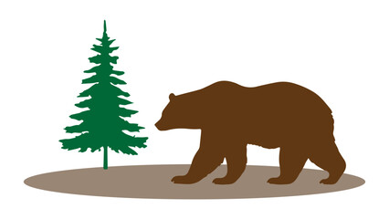 brown bear in the forest