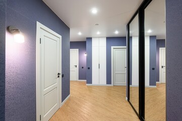 standard room interior apartment. room doors, renovation corridor lobby entrance hall
