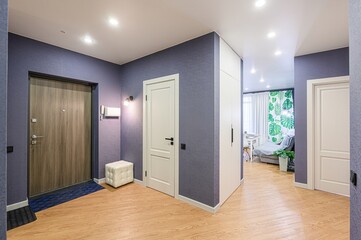 standard room interior apartment. room doors, renovation corridor lobby entrance hall