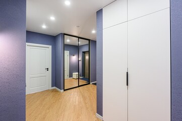 standard room interior apartment. room doors, renovation corridor lobby entrance hall