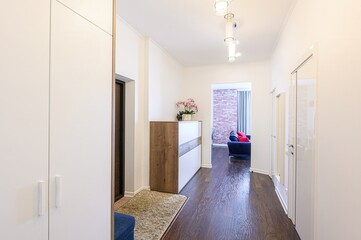standard room interior apartment. room doors, renovation corridor lobby entrance hall
