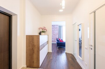 standard room interior apartment. room doors, renovation corridor lobby entrance hall